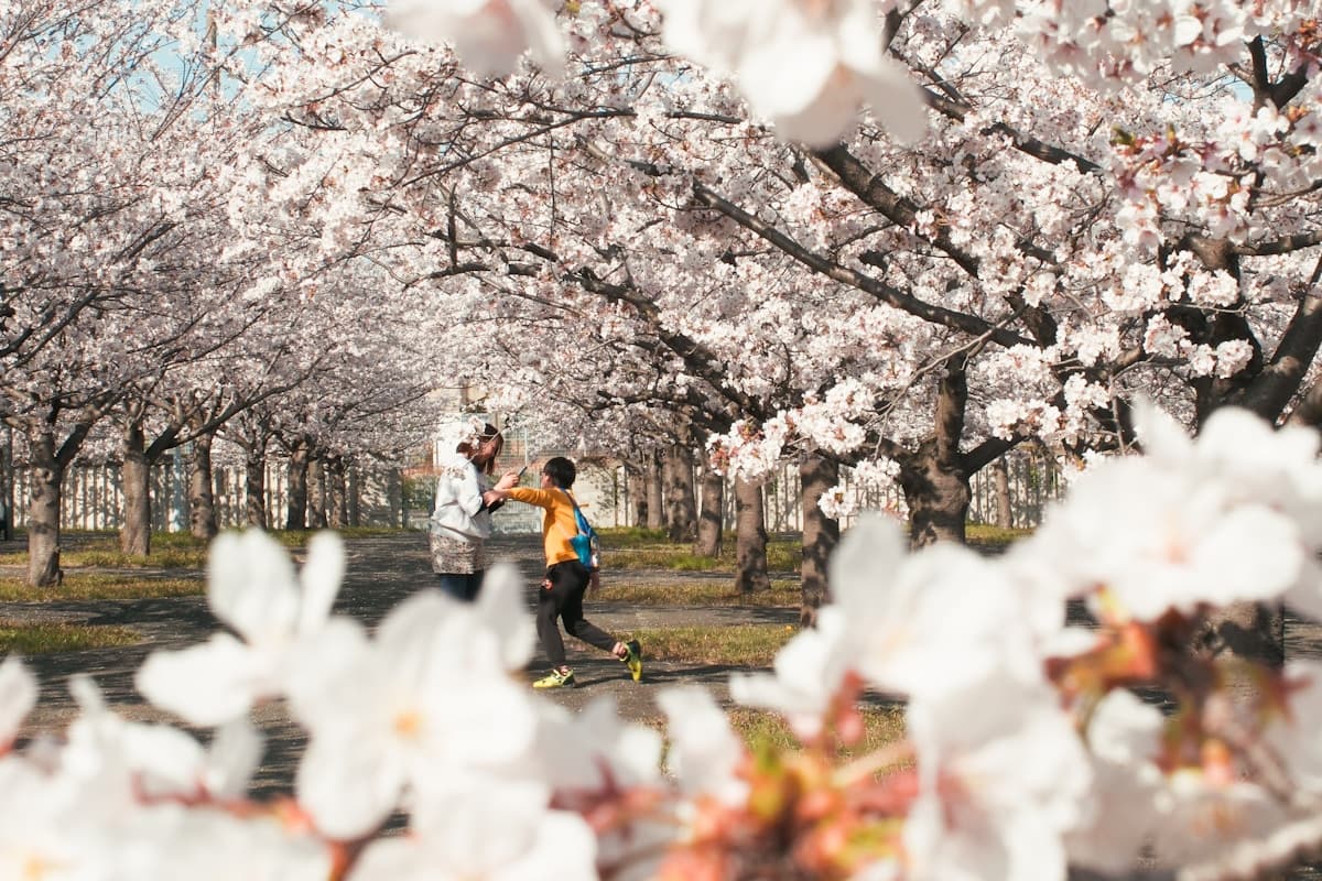 桜の下で楽しむ来場者たち
